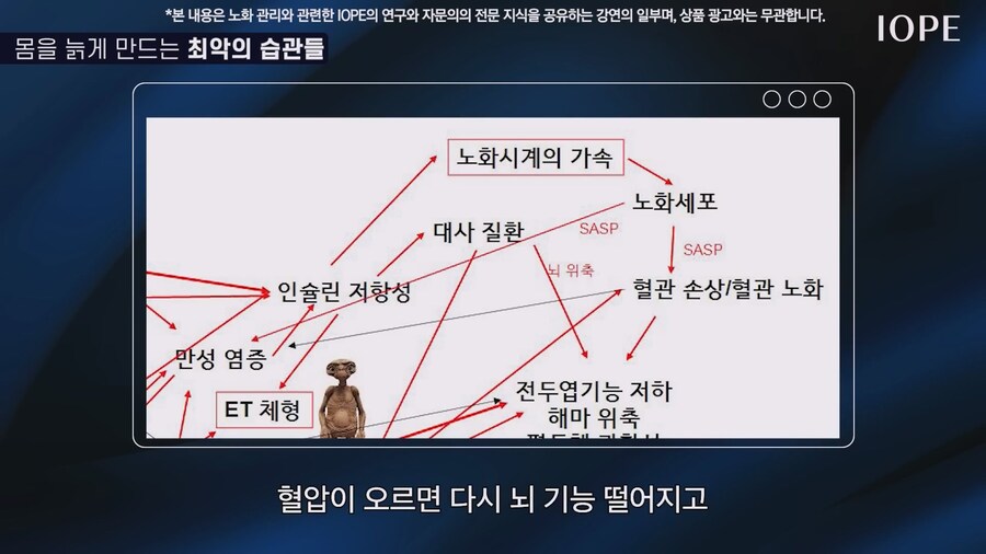쇼닥터 아니라는 저속노화 교수 강의를 찾아봤다_71.jpg