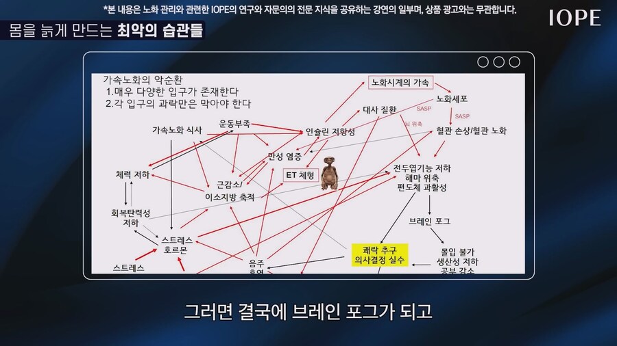 쇼닥터 아니라는 저속노화 교수 강의를 찾아봤다_73.jpg