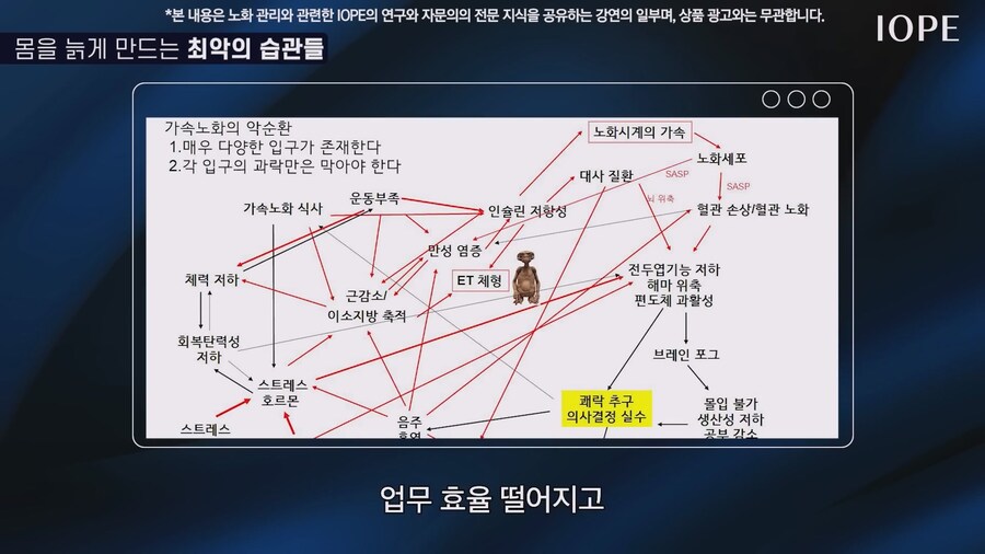 쇼닥터 아니라는 저속노화 교수 강의를 찾아봤다_74.jpg