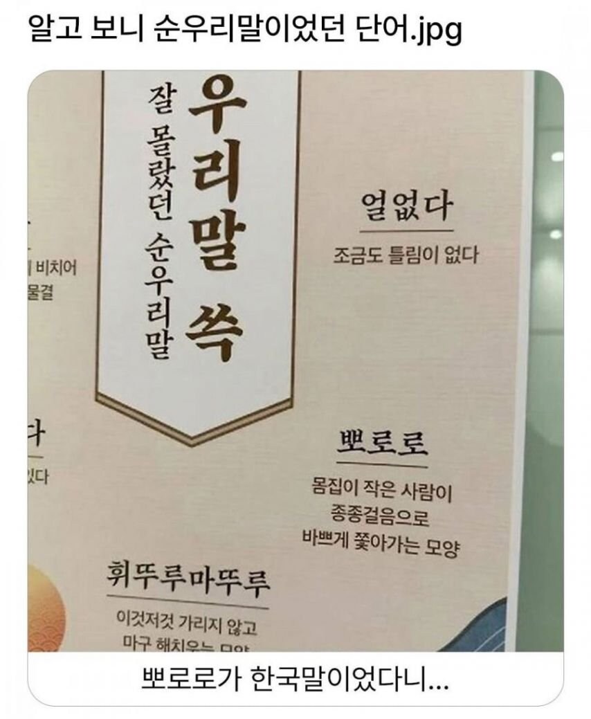 '뽀로로'가 순우리말이었다니.jpg_1.jpg