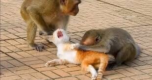 의외로 기승전결이 뚜렷한 작품_2.jpg