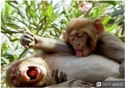 의외로 기승전결이 뚜렷한 작품_3.png