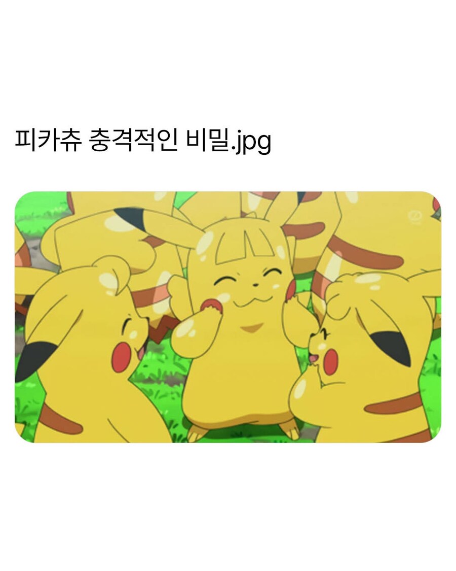 피카츄의 충격적인 비밀_1.jpg