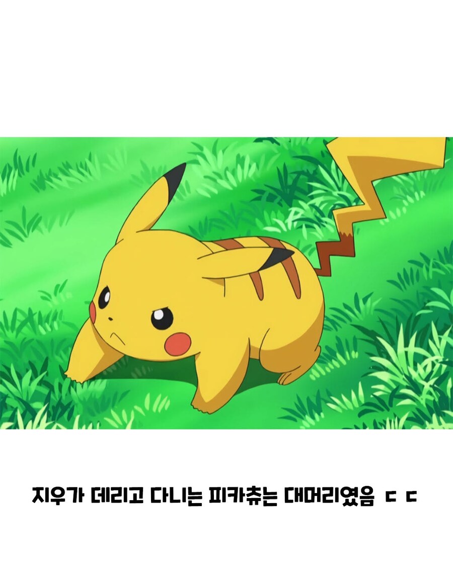 피카츄의 충격적인 비밀_3.jpg