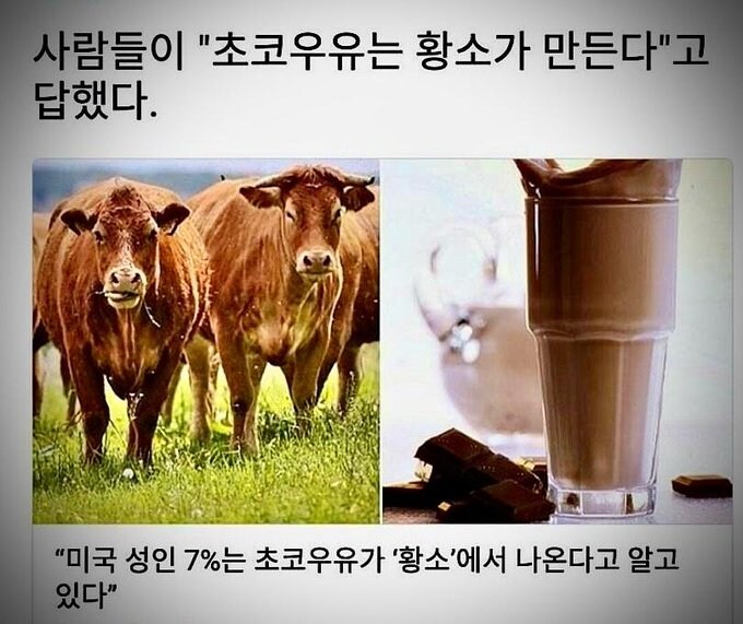 심각한 미국 공교육의 실태_1.jpg