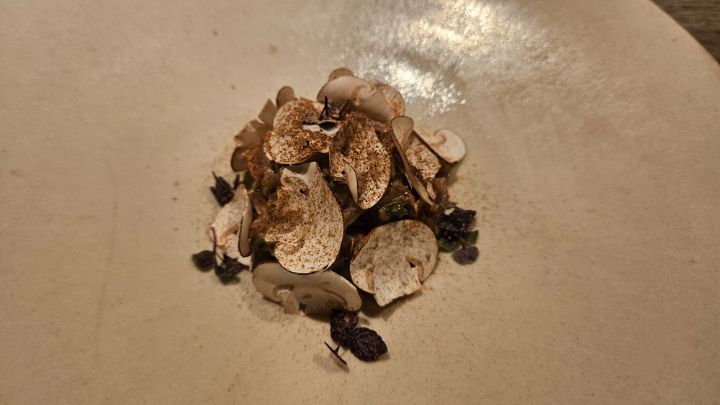 도쿄 다이닝 사슴스테이크 곰 오소리 멧돼지 사슴피등등_9.jpg