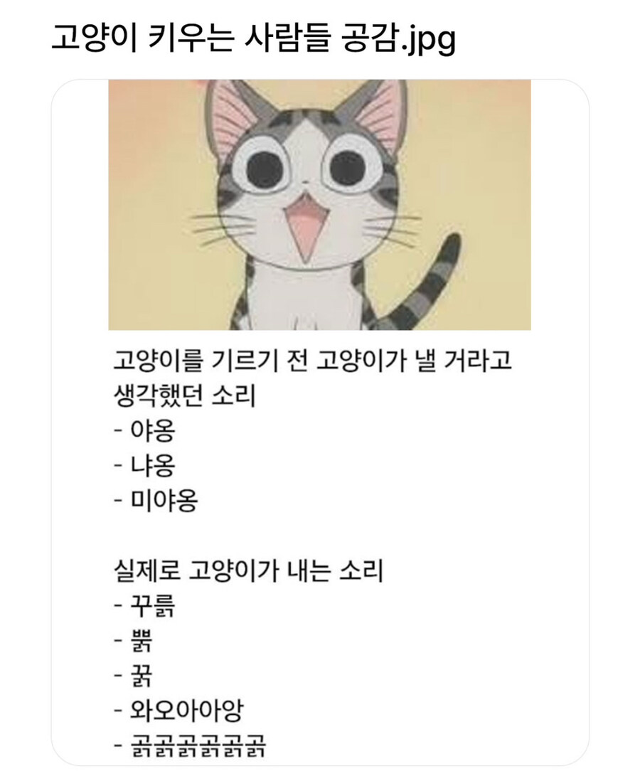 고양이 소리중 귀여운거_1.jpg
