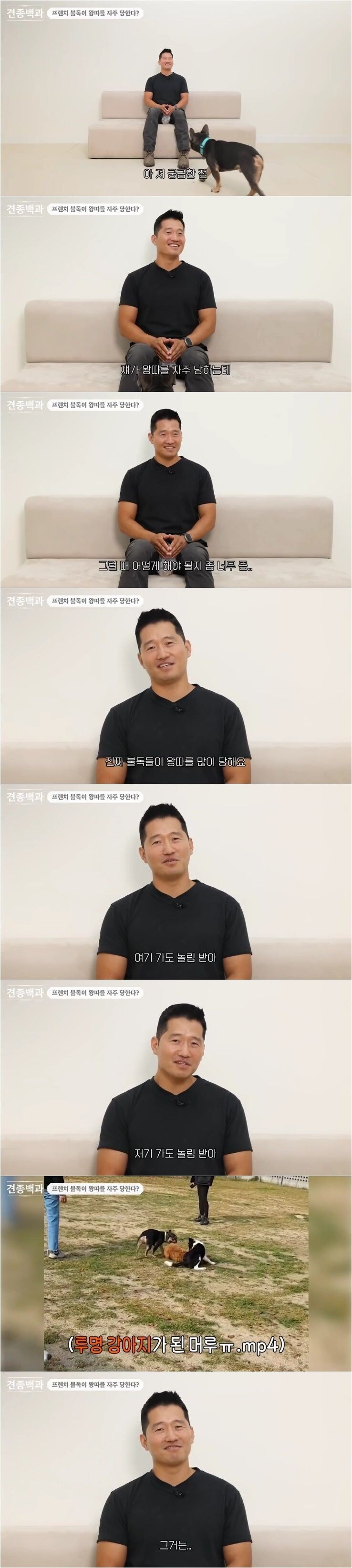 프렌치 불독이 왕따를 자주 당하는 이유.jpg_1.jpg