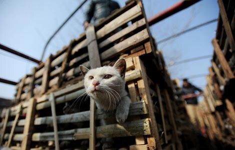 원숭이 아저씨의 대모험_5.jpg