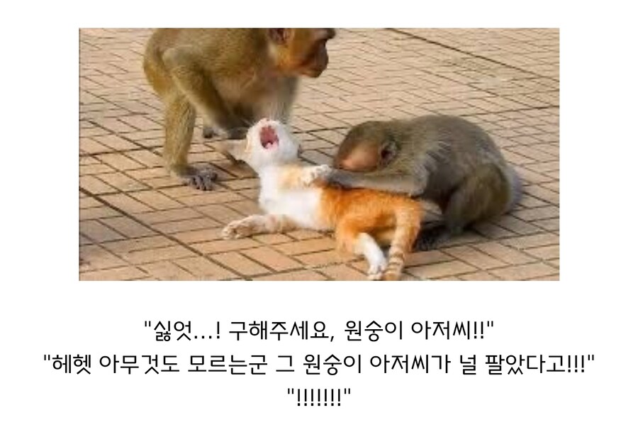원숭이 아저씨의 대모험_4.jpg