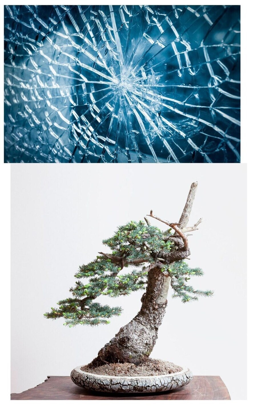 90년대 고등학교에서 실수하면 당하는 체벌.jpg_1.jpg