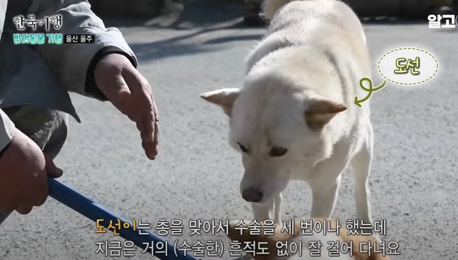 스님이 개이름을 럭셔리하게 짓는 이유.eu_4.jpg