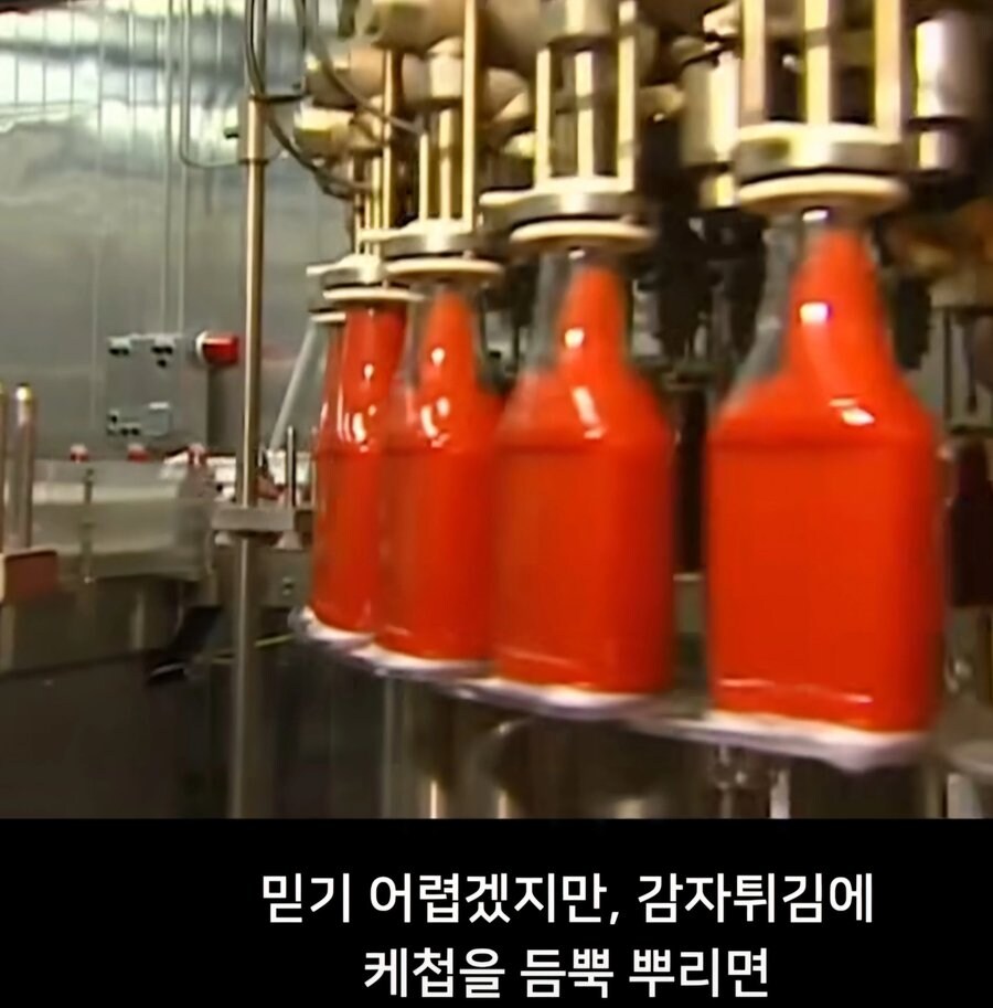 감자튀김에 케찹을 꼭 뿌려야하는 이유.jpg_1.jpg