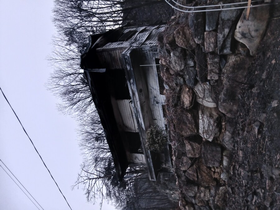 영덕 가는길인데 산불 피해 정말 심각하네_1.jpg