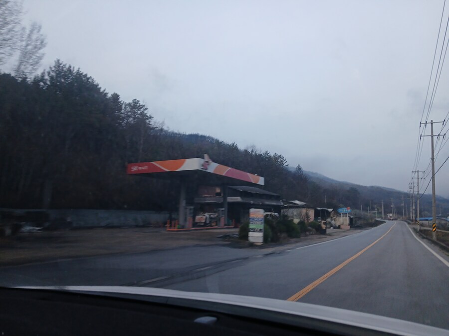 영덕 가는길인데 산불 피해 정말 심각하네_6.jpg