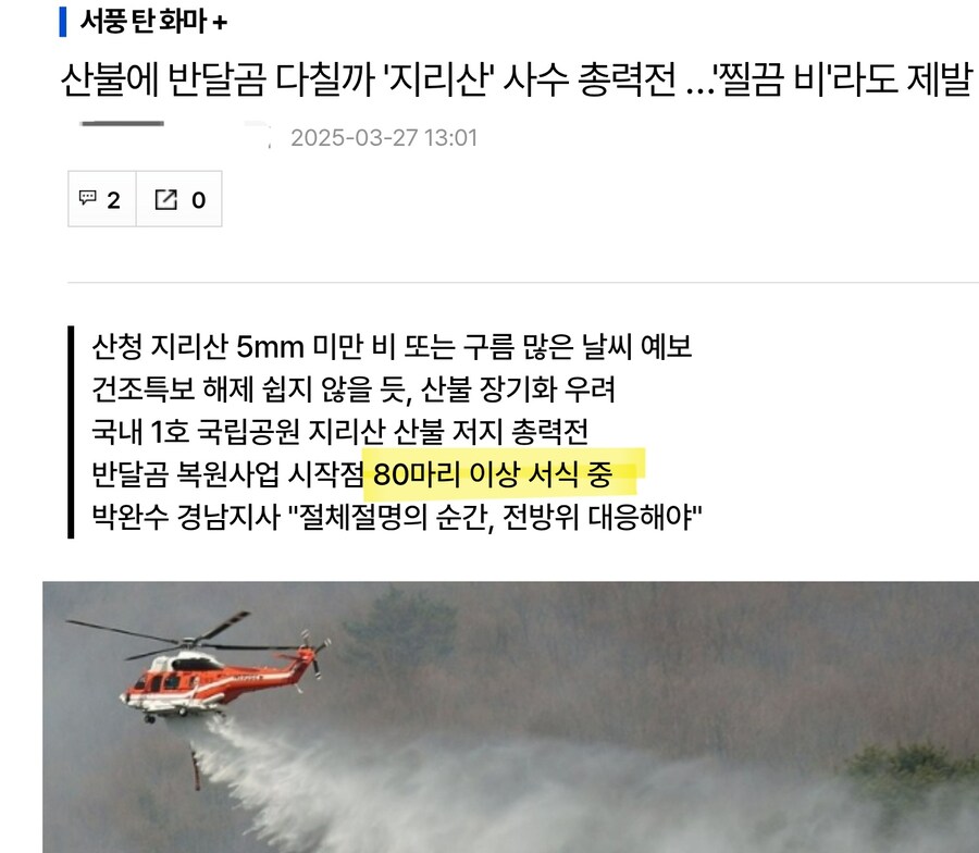 지리산 반달곰들 산불로 죽을뻔 했는데 살았다함_2.jpg