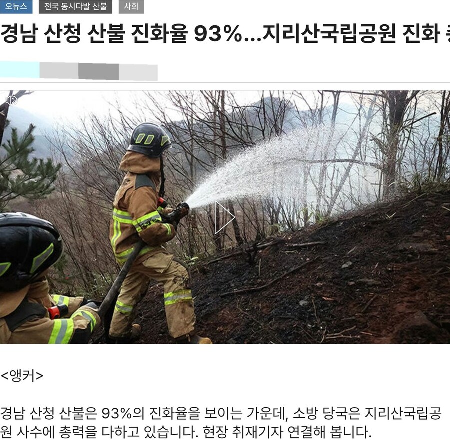 지리산 반달곰들 산불로 죽을뻔 했는데 살았다함_3.jpg