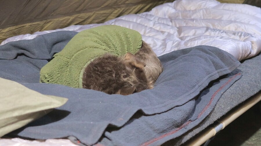 캠핑 요리 좀 먹을 줄 아는 외국인 형님_39.jpg