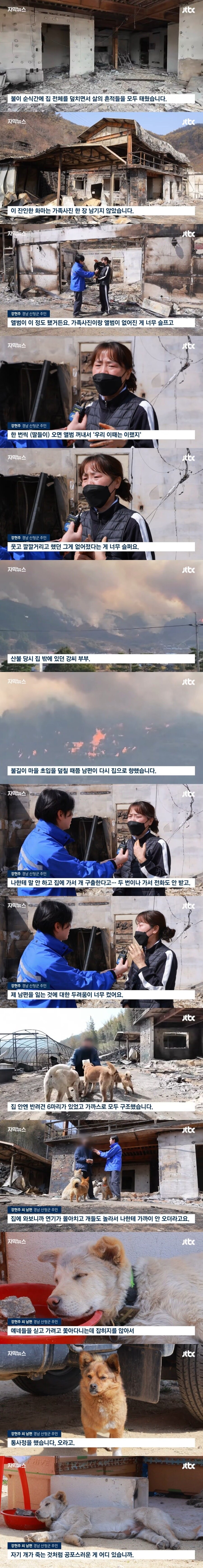 연기가 몰아치는데 강아지 구출하러 들어간 남편_1.jpg