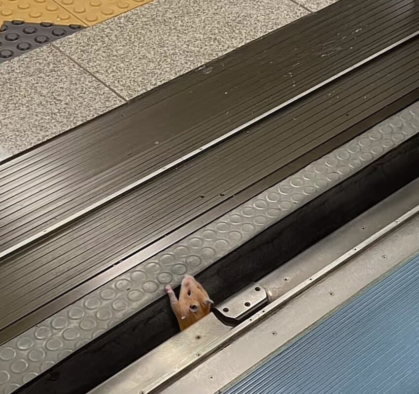 안내방송이 약간 다른 역_1.png