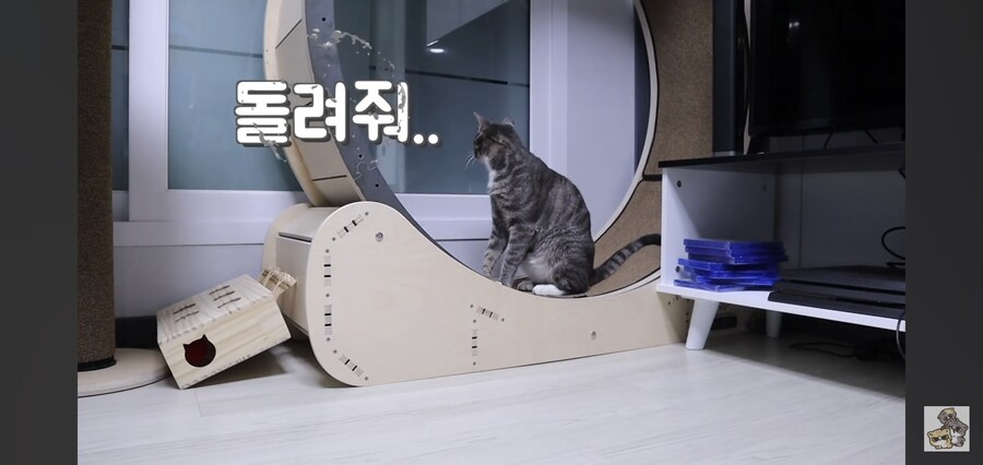 캣휠로 운동하는 남자_2.jpg