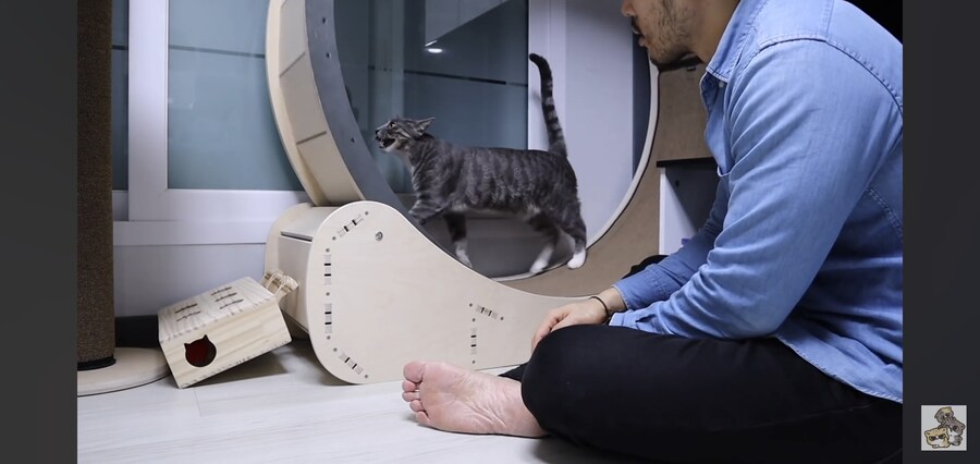 캣휠로 운동하는 남자_8.jpg