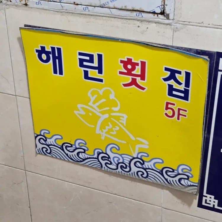 N년뒤 뉴진스.jpg_4.jpg