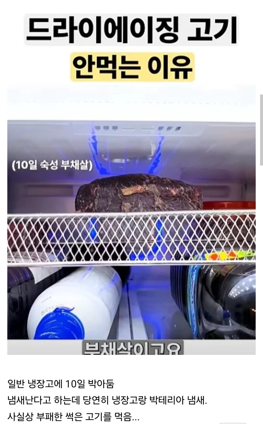 드라이에이징한 고기가 별로라는 유튜버_1.jpg