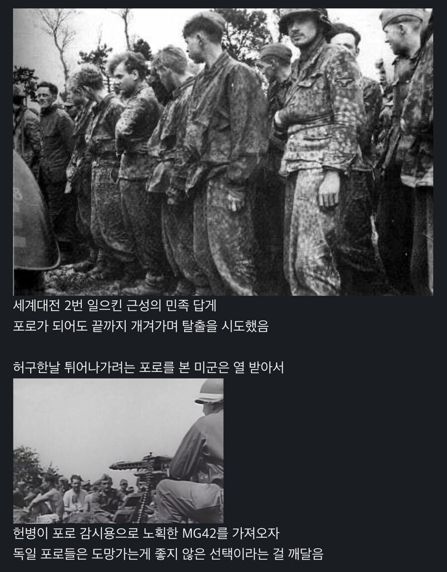 2차대전 독일 나치들이 탈출 하지 않은 이유_1.jpg