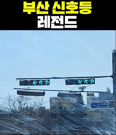 부산 신호등 레전드..._1.png