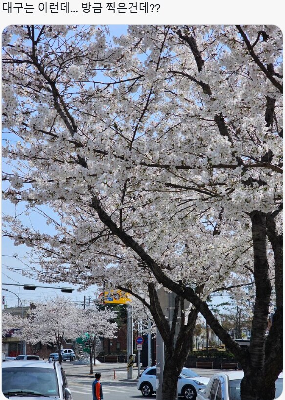 경기도 이천 근황_2.png