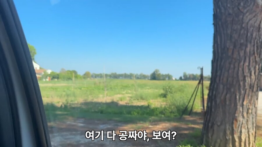 ??? : 여기 채소 밭은 그냥 다 공짜야!_2.png