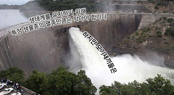 종 보호를 주장하는 생물학자들도 멈칫하는 문제_1.jpg