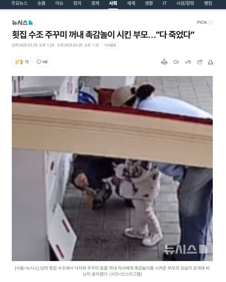 횟집에서 하는 촉감놀이_1.png