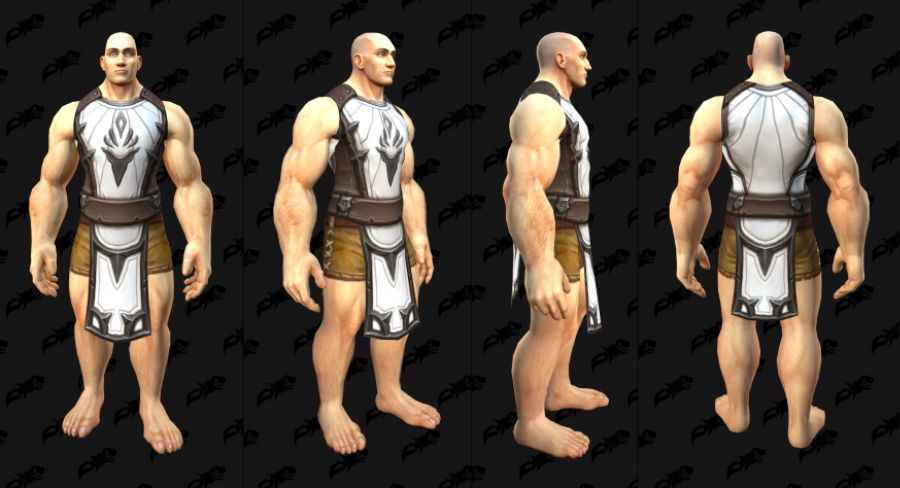 와우 11.1.5 평판에 따라 변화하는 신규 아라시 일몰 휘장_3.jpg