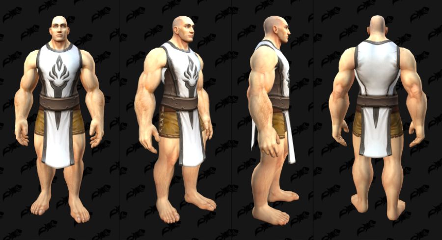 와우 11.1.5 평판에 따라 변화하는 신규 아라시 일몰 휘장_4.jpg