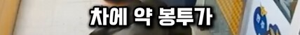 역주행사고 낸 남자. 술도 안마시고 약도 안했는데...._5.png