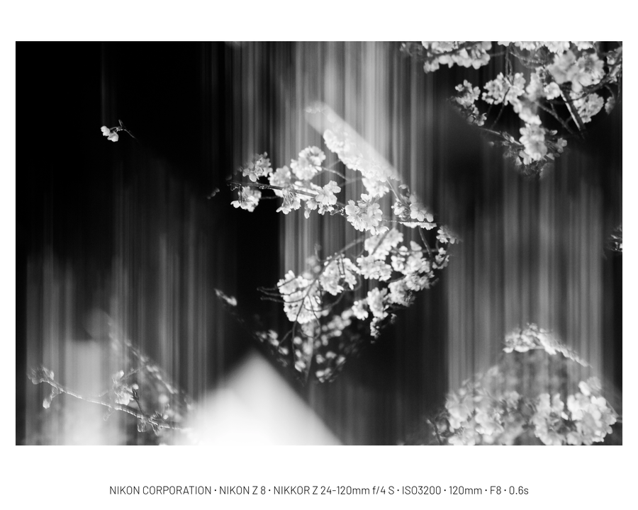 사진) 가는 길_2.webp