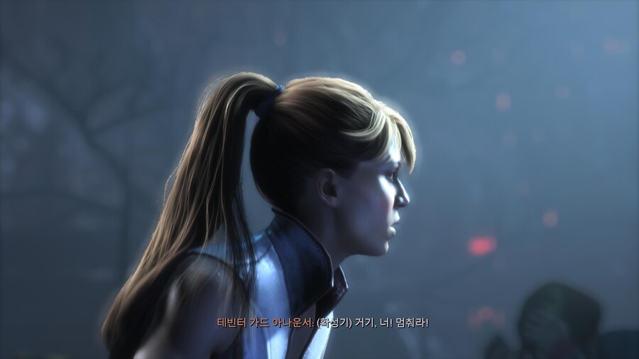 드래곤 에이지 베일가드_17.jpg