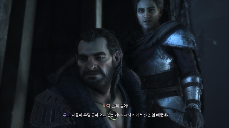 드래곤 에이지 베일가드_19.jpg