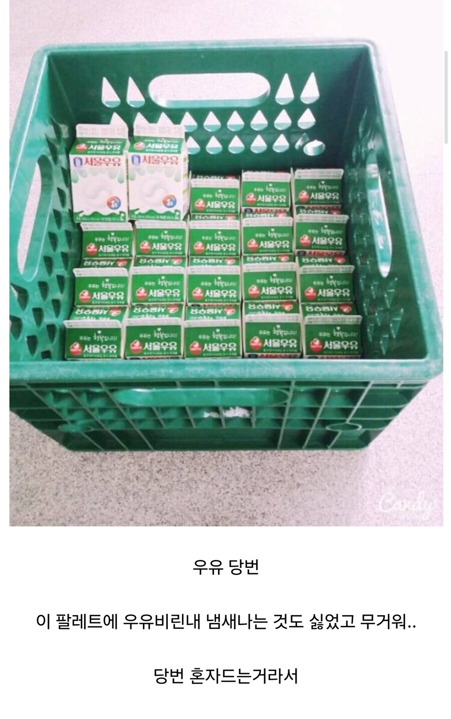 학교 다닐때 하고싶지 않았던 당번_1.jpg