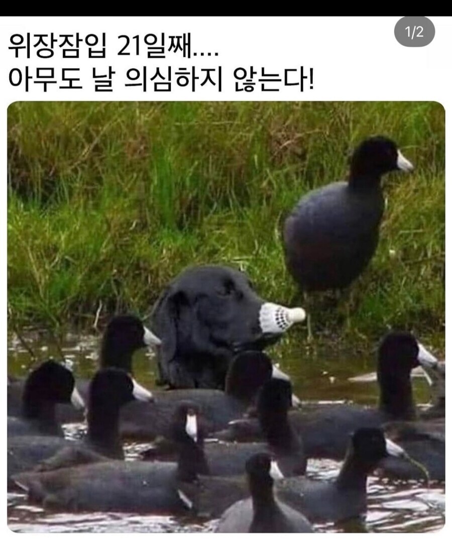 아무도 날 의심하지 않는다_1.jpg