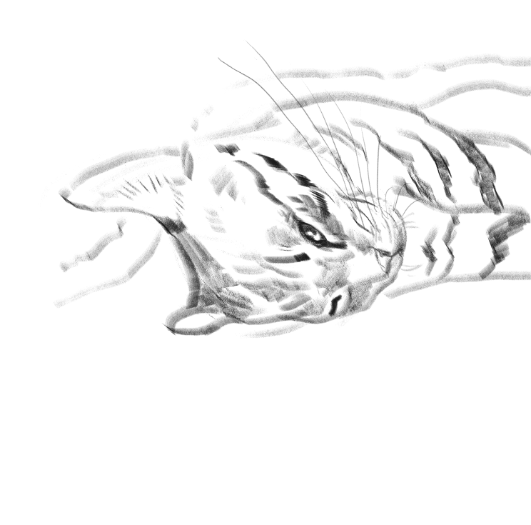 오가닉 자연산 우리집고양이 보고가셈_1.png