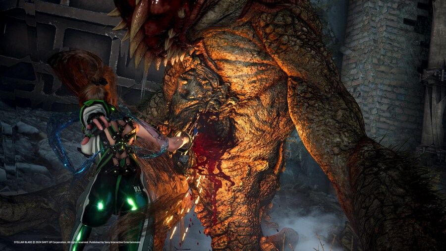 스텔라 블레이드_89.jpg