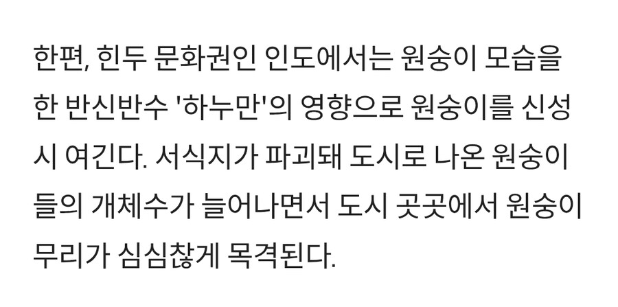 인도 원숭이들 "6살 성폭행하려던 아동 성범죄자 습격"_3.jpg