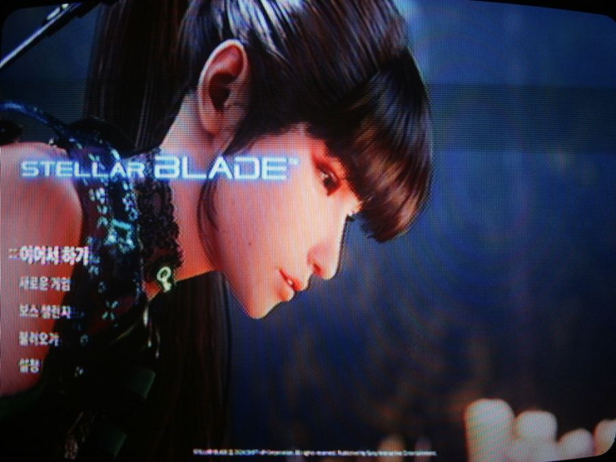 스텔라 블레이드_3.jpg
