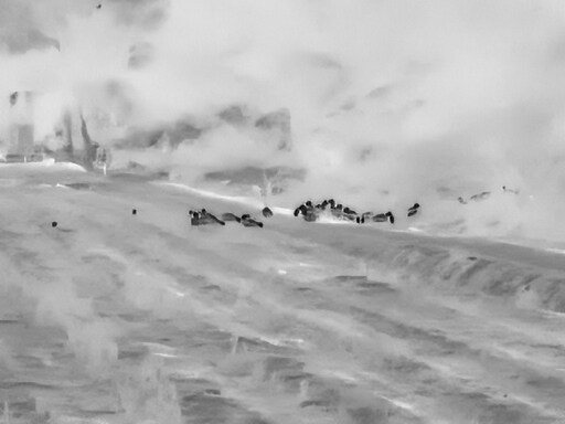 삼일절, 굴포천과 김포대수로 탐조_10.jpg