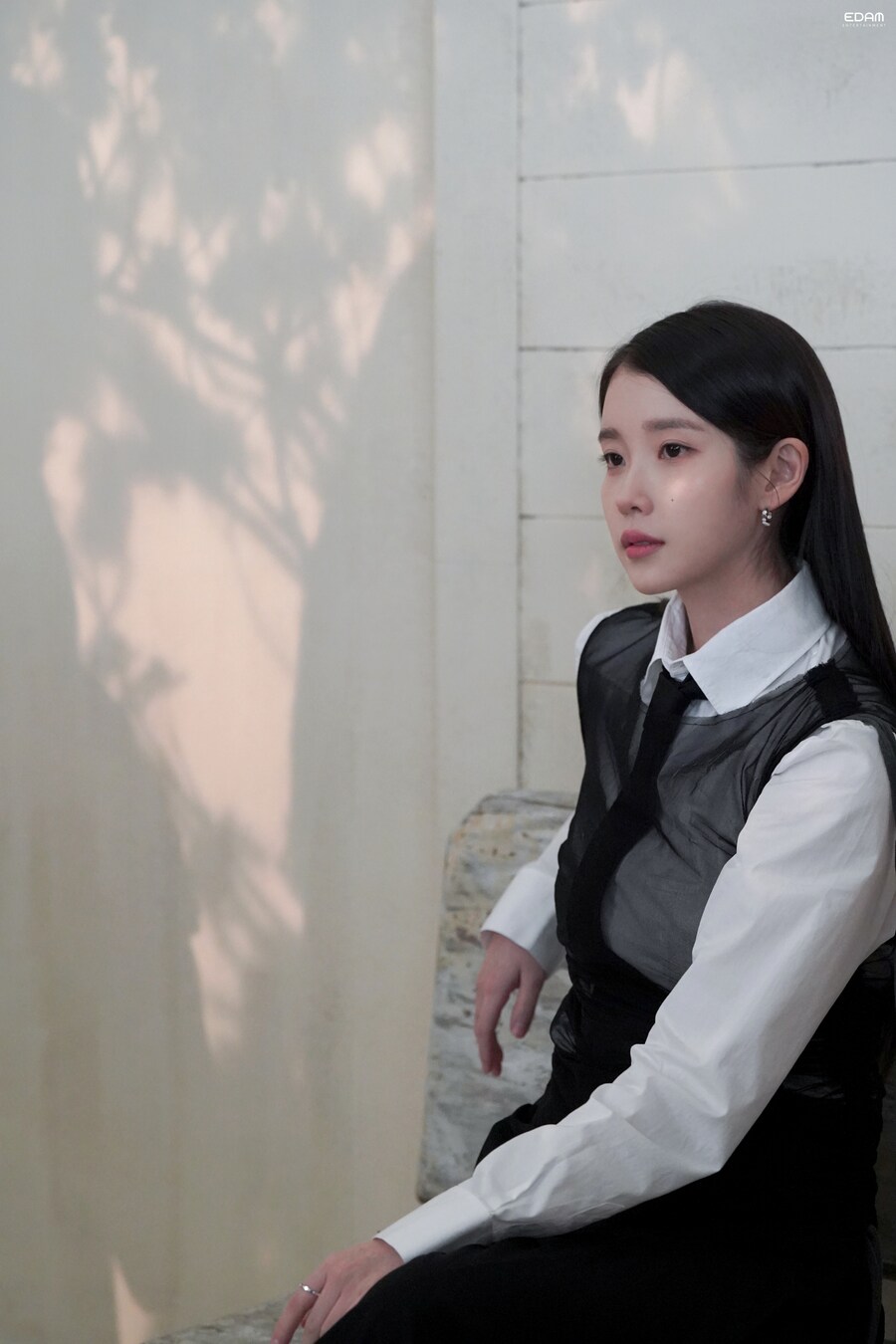 [EDAM] Whoever, Whenever, Wherever 아이유를 사랑하자_4.jpg