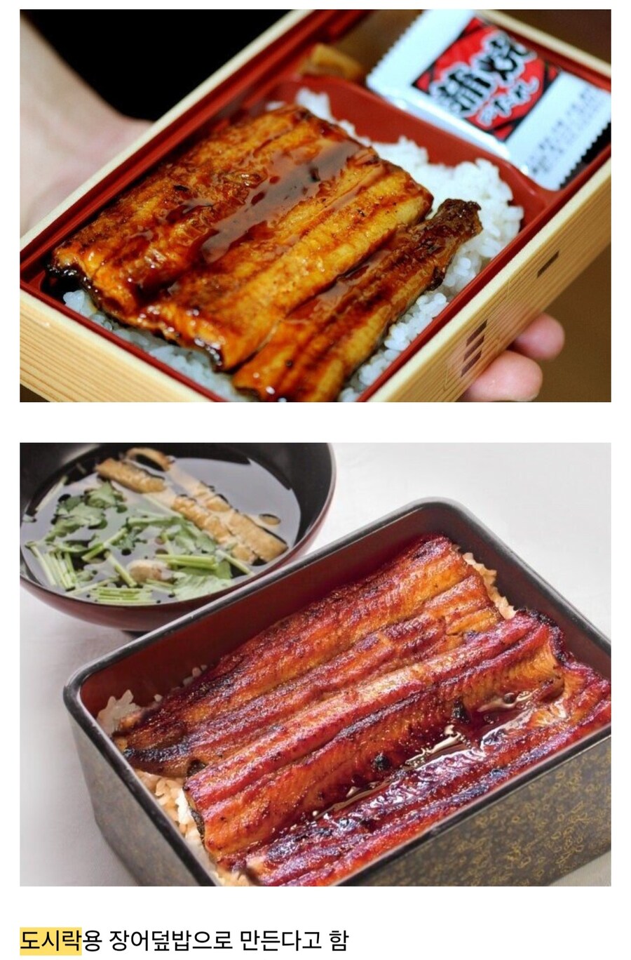 일본의 장어 가공공장.gif_1.jpg