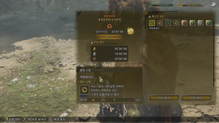 격투대회 참여 보상 장식품 이름이 뭔가요?_1.png